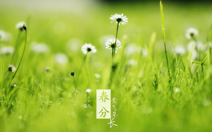 即即是春风十里，，，，依然不如你